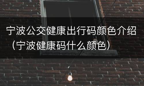 宁波公交健康出行码颜色介绍（宁波健康码什么颜色）