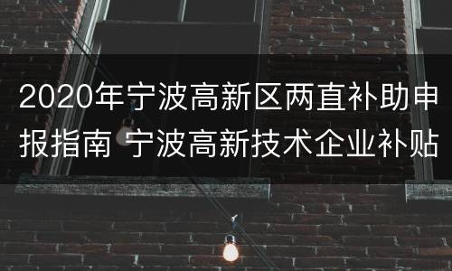 2020年宁波高新区两直补助申报指南 宁波高新技术企业补贴2020