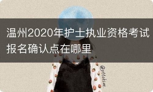温州2020年护士执业资格考试报名确认点在哪里