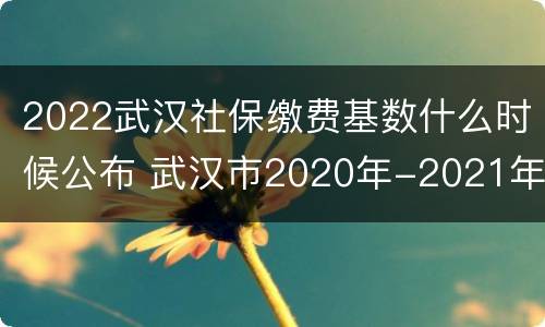 2022武汉社保缴费基数什么时候公布 武汉市2020年-2021年社保缴费基数