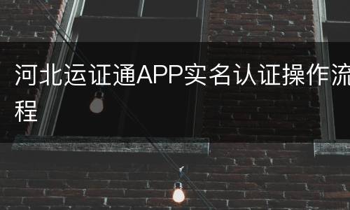 河北运证通APP实名认证操作流程