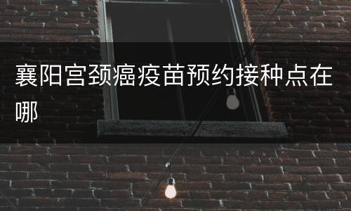 襄阳宫颈癌疫苗预约接种点在哪