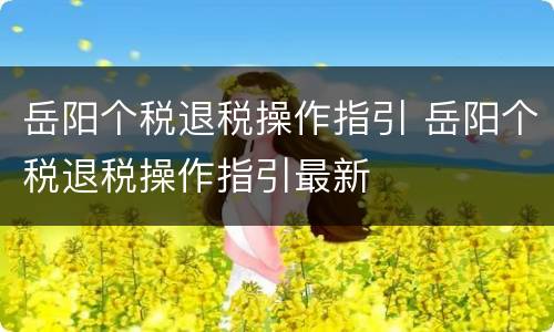 岳阳个税退税操作指引 岳阳个税退税操作指引最新