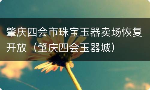 肇庆四会市珠宝玉器卖场恢复开放（肇庆四会玉器城）