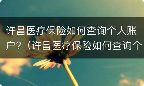 许昌医疗保险如何查询个人账户?（许昌医疗保险如何查询个人账户余额明细）