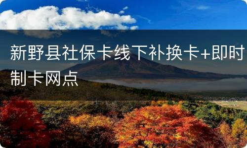新野县社保卡线下补换卡+即时制卡网点