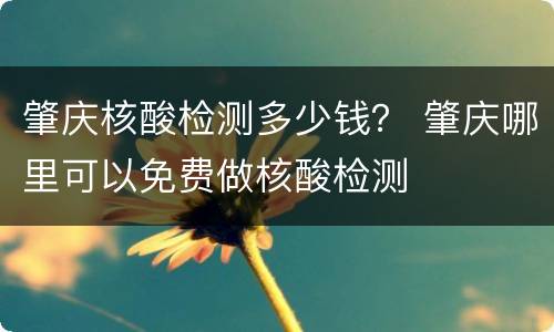 肇庆核酸检测多少钱？ 肇庆哪里可以免费做核酸检测
