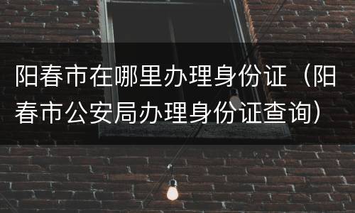 阳春市在哪里办理身份证（阳春市公安局办理身份证查询）