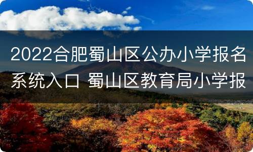 2022合肥蜀山区公办小学报名系统入口 蜀山区教育局小学报名