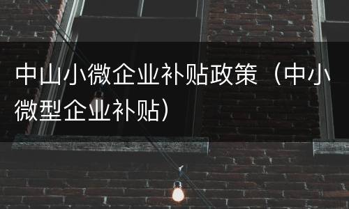 中山小微企业补贴政策（中小微型企业补贴）