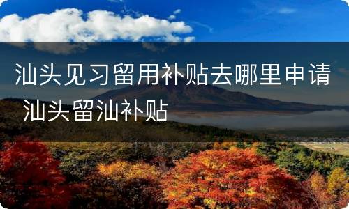 汕头见习留用补贴去哪里申请 汕头留汕补贴