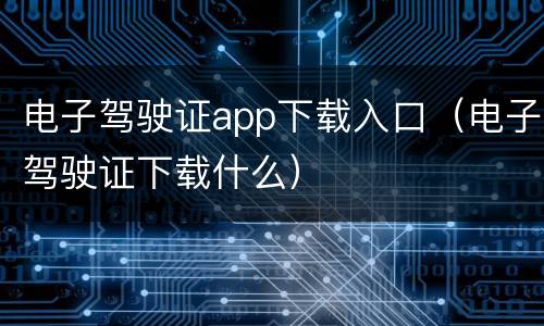 电子驾驶证app下载入口（电子驾驶证下载什么）