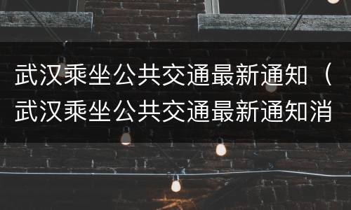 武汉乘坐公共交通最新通知（武汉乘坐公共交通最新通知消息）