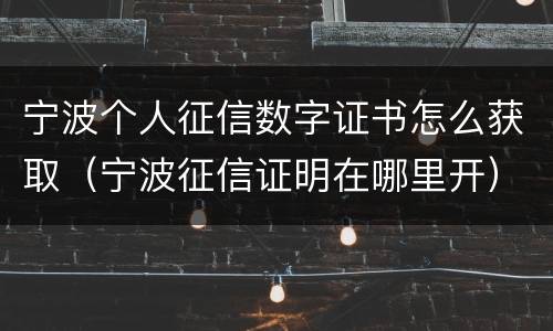 宁波个人征信数字证书怎么获取（宁波征信证明在哪里开）