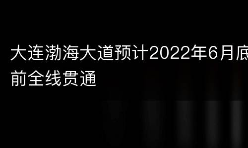 大连渤海大道预计2022年6月底前全线贯通