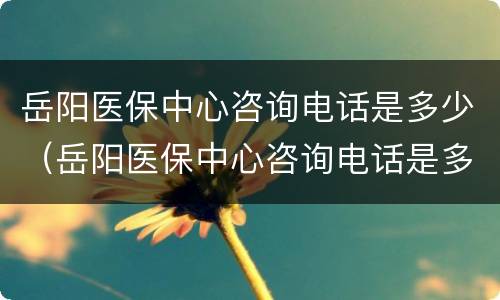 岳阳医保中心咨询电话是多少（岳阳医保中心咨询电话是多少号）