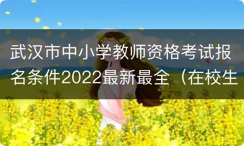 武汉市中小学教师资格考试报名条件2022最新最全（在校生+社会考生）