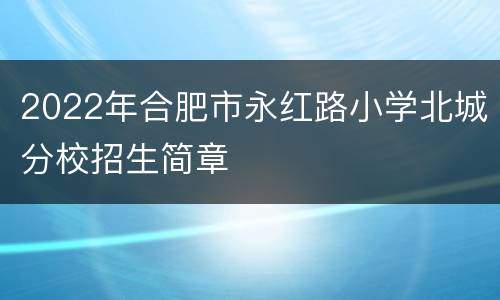 2022年合肥市永红路小学北城分校招生简章