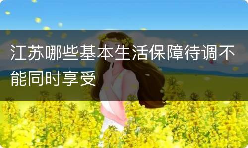 江苏哪些基本生活保障待调不能同时享受