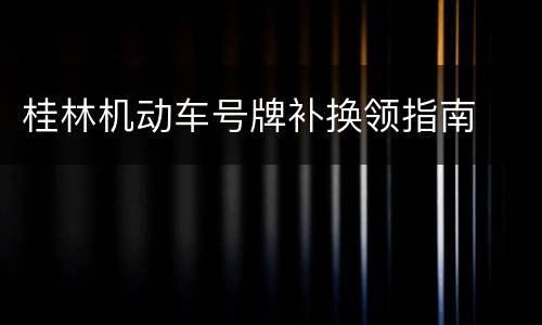 桂林机动车号牌补换领指南