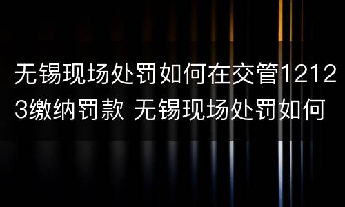 无锡现场处罚如何在交管12123缴纳罚款 无锡现场处罚如何在交管12123缴纳罚款单