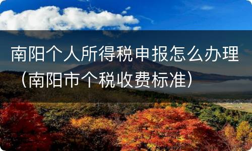 南阳个人所得税申报怎么办理（南阳市个税收费标准）