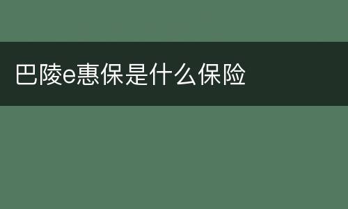 巴陵e惠保是什么保险
