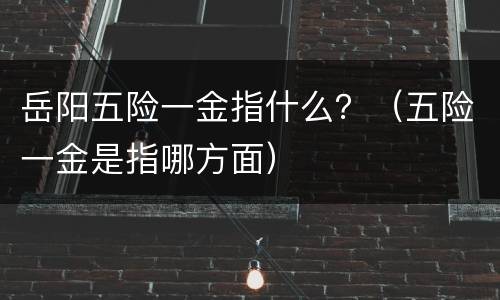 岳阳五险一金指什么？（五险一金是指哪方面）