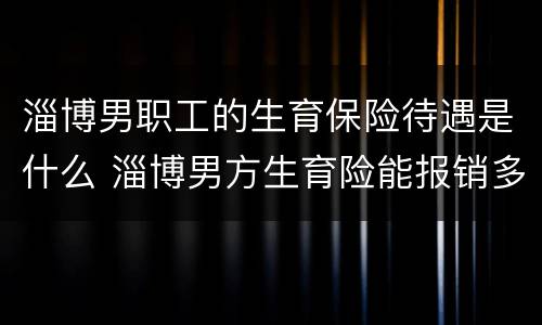 淄博男职工的生育保险待遇是什么 淄博男方生育险能报销多少