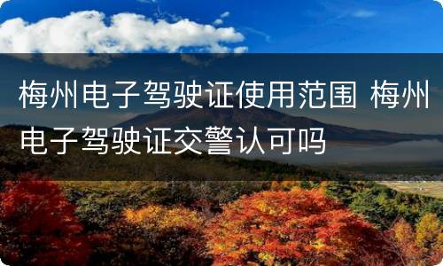 梅州电子驾驶证使用范围 梅州电子驾驶证交警认可吗