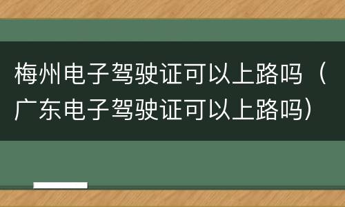 梅州电子驾驶证可以上路吗（广东电子驾驶证可以上路吗）