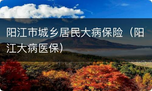 阳江市城乡居民大病保险（阳江大病医保）
