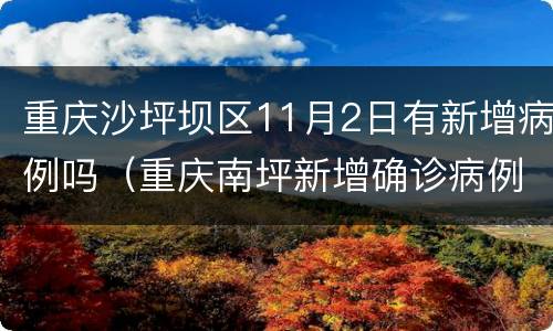 重庆沙坪坝区11月2日有新增病例吗（重庆南坪新增确诊病例）