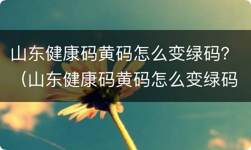山东健康码黄码怎么变绿码？（山东健康码黄码怎么变绿码怎么重新申请）