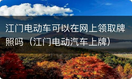 江门电动车可以在网上领取牌照吗（江门电动汽车上牌）