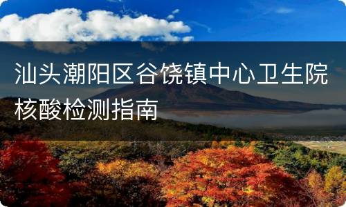 汕头潮阳区谷饶镇中心卫生院核酸检测指南