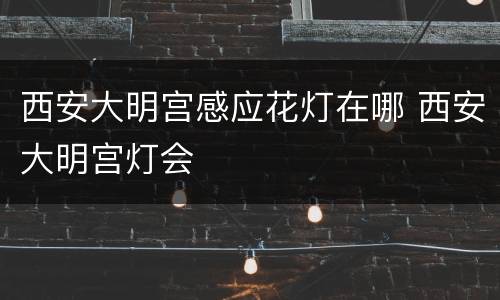 西安大明宫感应花灯在哪 西安大明宫灯会