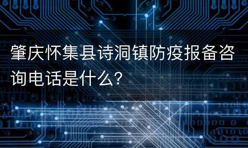 肇庆怀集县诗洞镇防疫报备咨询电话是什么？