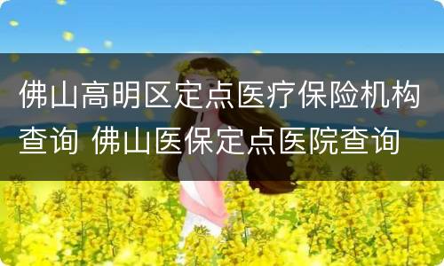 佛山高明区定点医疗保险机构查询 佛山医保定点医院查询