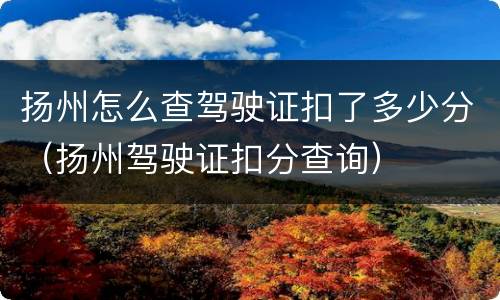 扬州怎么查驾驶证扣了多少分（扬州驾驶证扣分查询）