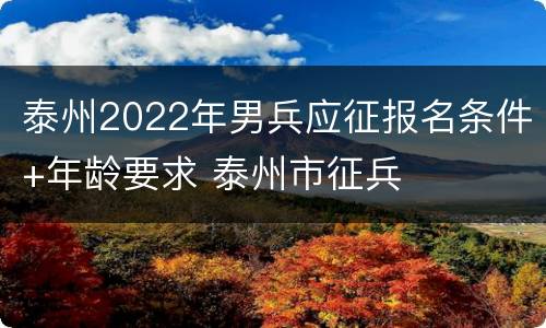 泰州2022年男兵应征报名条件+年龄要求 泰州市征兵