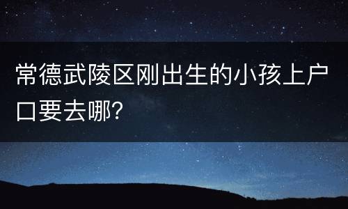 常德武陵区刚出生的小孩上户口要去哪？