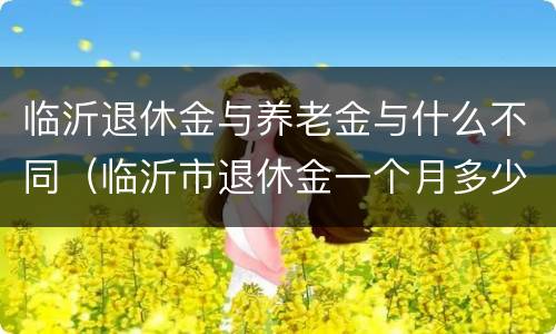 临沂退休金与养老金与什么不同（临沂市退休金一个月多少）