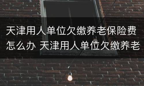 天津用人单位欠缴养老保险费怎么办 天津用人单位欠缴养老保险费怎么办理