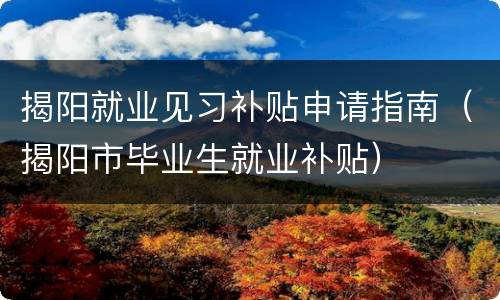 揭阳就业见习补贴申请指南（揭阳市毕业生就业补贴）