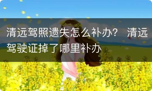 清远驾照遗失怎么补办？ 清远驾驶证掉了哪里补办