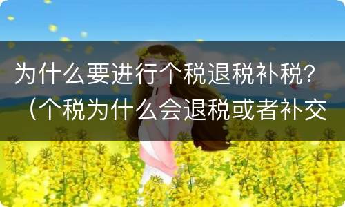 为什么要进行个税退税补税？（个税为什么会退税或者补交）
