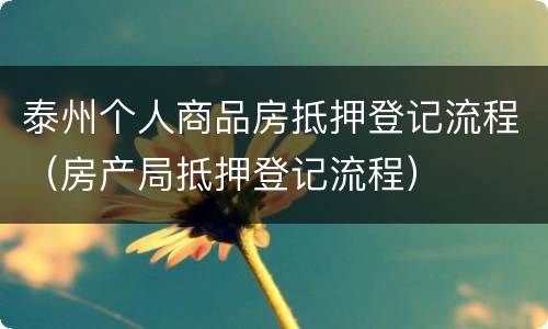 泰州个人商品房抵押登记流程（房产局抵押登记流程）