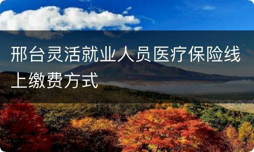 邢台灵活就业人员医疗保险线上缴费方式