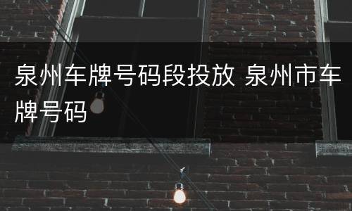 泉州车牌号码段投放 泉州市车牌号码
